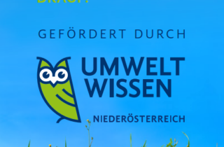 Umwelt.Wissen BODEN-SCHECK